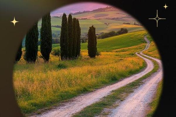 探索顽命的近义词：生命的坚韧与奋斗之路