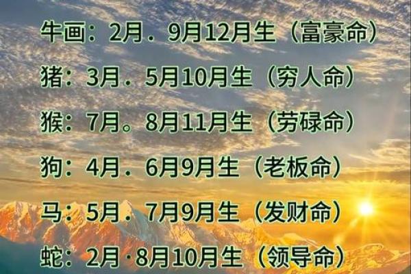 女命泉中水命与带马的深层解析