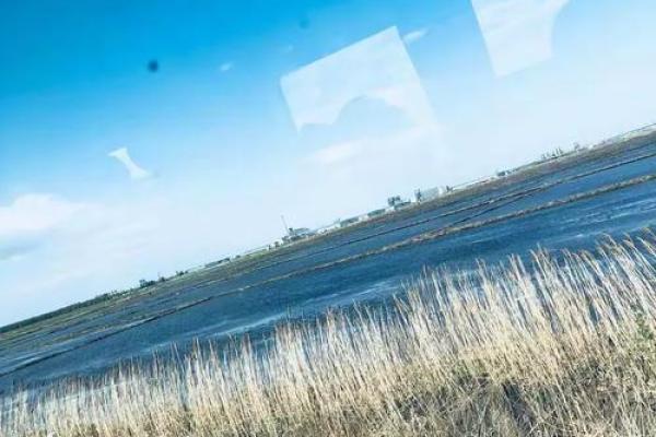 探秘1973年命火：生命的热情与挑战之旅