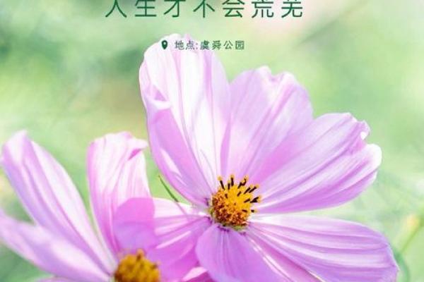 探索命格与花草的和谐美：让植物为你的命运添彩