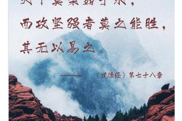 无与伦比的成语之美，探索“无”与“有”的智慧哲学