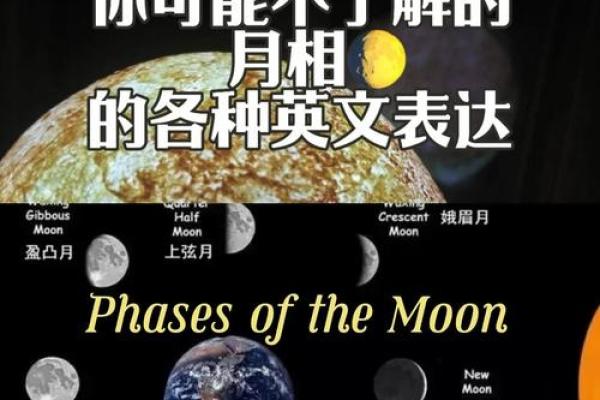 1964年命名月份的奇妙故事与文化背景 1964年命名月份的奇妙故事与文化背景