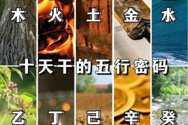 探索男命丙火寅木命格的奥秘与人生智慧