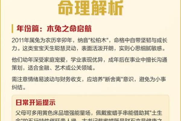 阴历62年出生的人命运解析——解读个性与生活轨迹