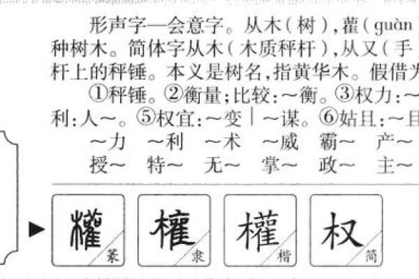 名字的笔画与命运的奥秘：探寻五行之道