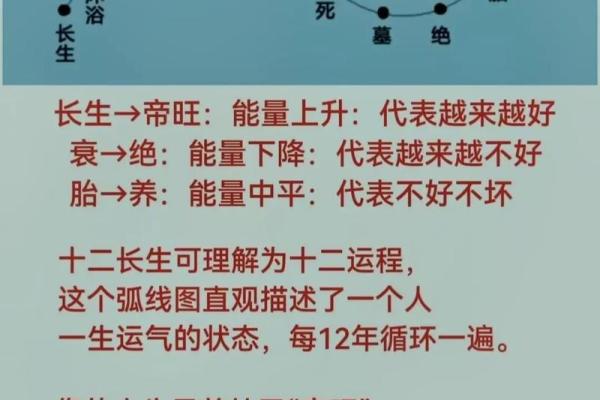 冬月里生人命运解析：揭示冷月生命的独特魅力和智慧