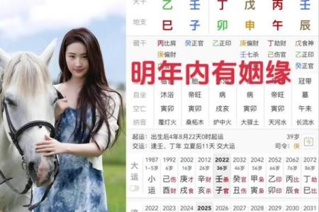 壬午壬寅丙辰丙申命运解析：从八字看人生的起伏与机遇