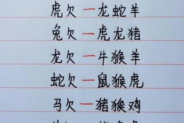 探秘20岁：生肖与命运的深刻联系