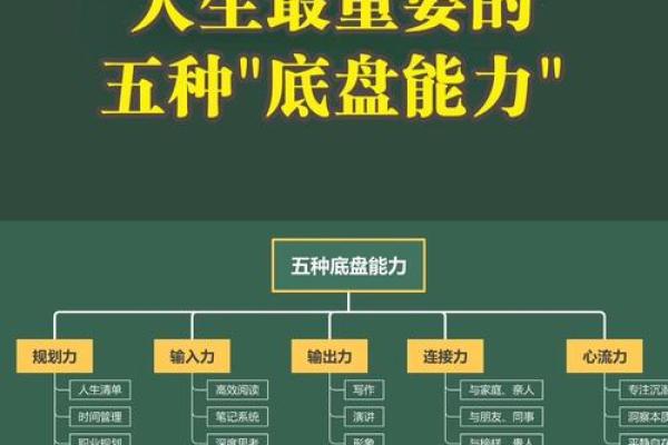 适合平地木命者的干爸干妈选择指南：提升人生路上的智慧之选