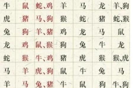 探秘20岁：生肖与命运的深刻联系