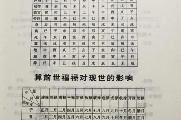 1940年出生的人与命运的奥秘：深入了解人生轨迹与性格特征
