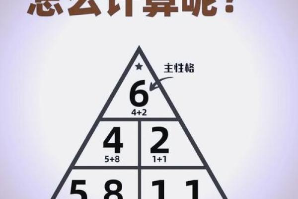 1940年出生的人与命运的奥秘：深入了解人生轨迹与性格特征