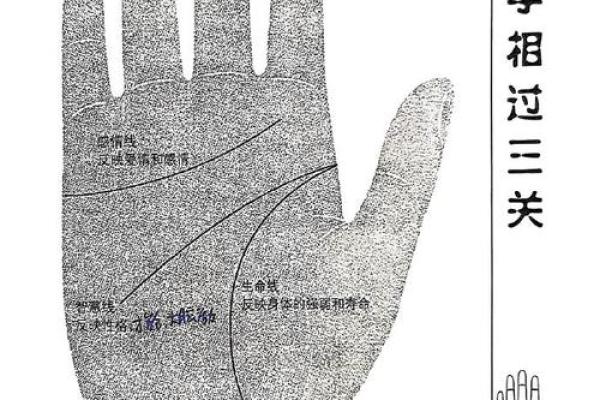 揭开手相的秘密：如何辨识操劳命的特征与应对之道