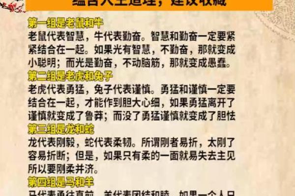 揭秘通命背后：解读生肖的力量与智慧