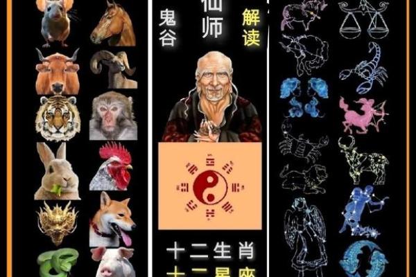 揭秘通命背后：解读生肖的力量与智慧