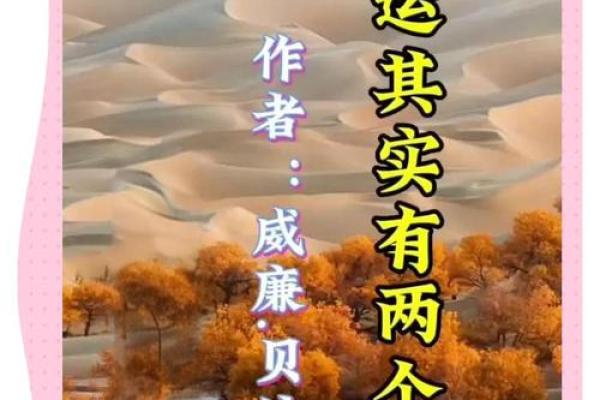 命运的棋盘：从“命”字看人生的棋局与成语智慧