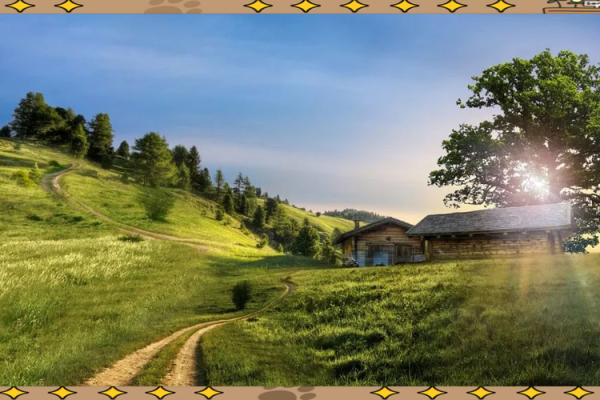 1992年猴年人命运与性格解析:探索聪明与灵动的双重魅力 1992年猴年人命运与性格解析:探索聪明与灵动的双重魅力