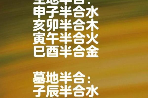 地支有财无根，算命中的命理探秘与人生启示
