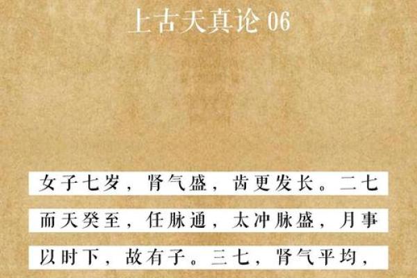 癸水女命的命理特征与生活智慧探讨