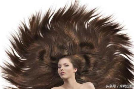 头发多头发硬的命运解析：命运与发质的奇妙关联