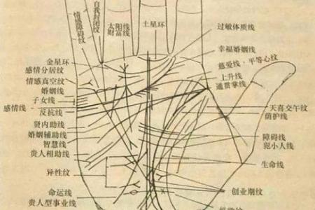 手相解析：烂手相背后的命理真相与人生启示