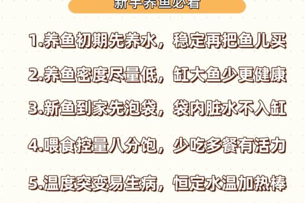 命理与水族：养鱼与水母的忌讳与讲究