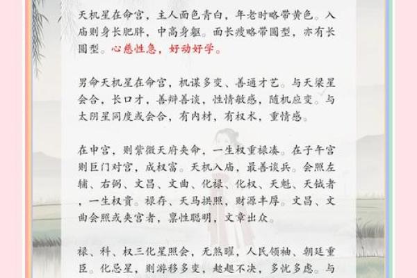 38属什么的什么命，破解命理之秘的奇妙之旅！