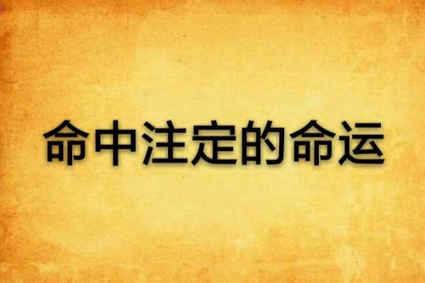 87年女孩的命运解析：命中注定还是自我成就？