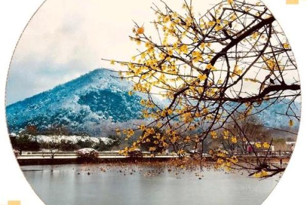 1994腊月二十：探索命运之道与人生哲学的交汇点