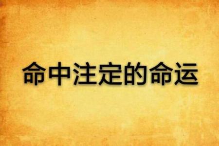 87年女孩的命运解析：命中注定还是自我成就？