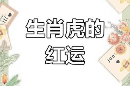 属虎女孩的命运与好运：探寻她们人生的光辉与挑战