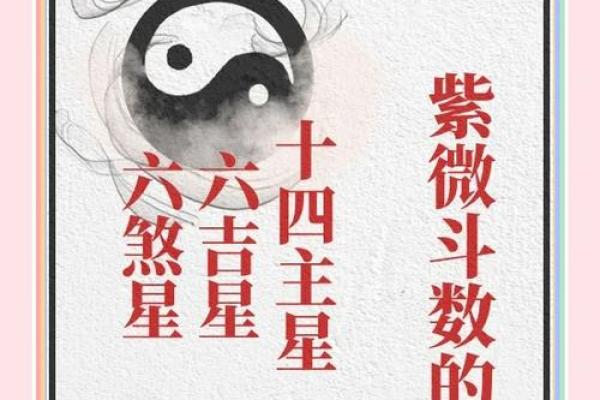 探秘紫薇命盘大限，揭示人生运势与未来走向！