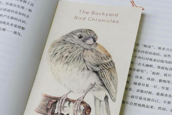 探寻2019年出生的“鸟命”的命运与生活哲学