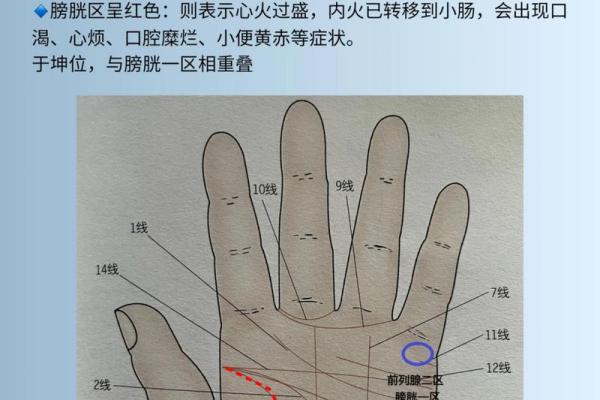 根据手纹解析：命女手纹混乱的隐秘深意与命运探秘
