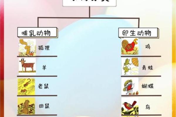 1993年出生的女性命运解析：女鸡的独特人生轨迹与性格特征