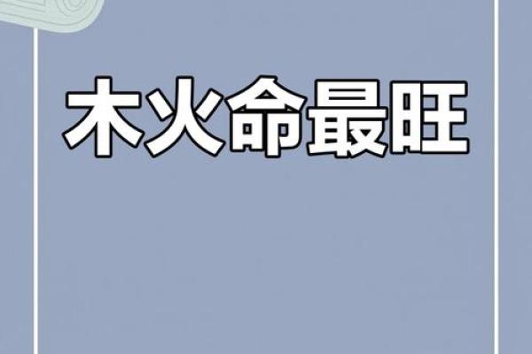 2024年属什么火命?揭秘火命的运势与生活智慧! 2024年属什么火命?揭秘火命的运势与生活智慧!