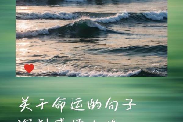 根据你的格局决定你的命运,解锁人生成功密码! 根据你的格局决定你的命运,解锁人生成功密码!