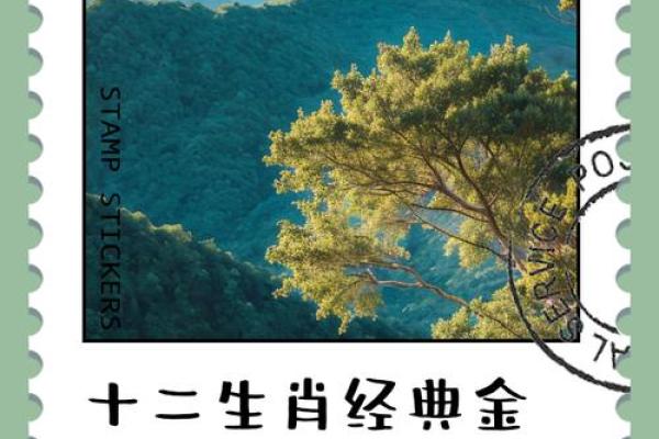 探秘1972年生肖:鼠年命运解析与人生智慧 探秘1972年生肖:鼠年命运解析与人生智慧