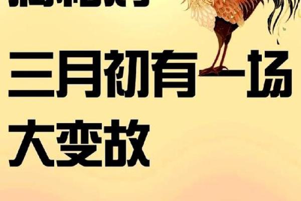 一九九三属鸡的命理解析:财富、事业与人生的精彩旅程 一九九三属鸡的命理解析:财富、事业与人生的精彩旅程