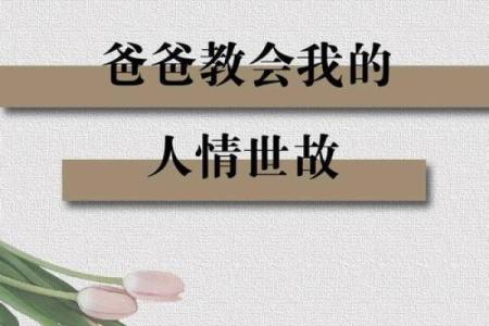 50岁生儿子：探索中年父亲的命运与人生智慧