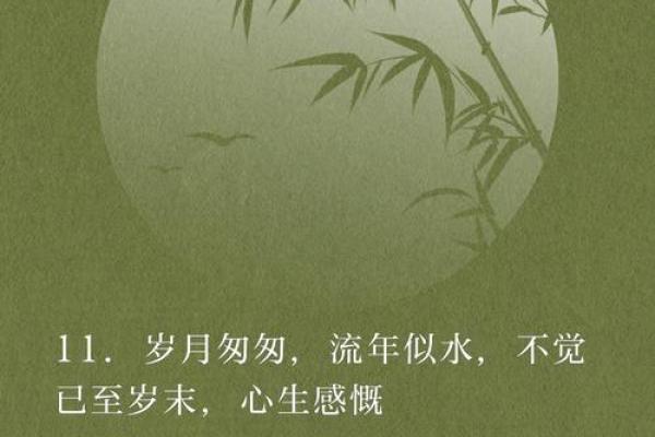 那些年的人是什么命：探寻命运的奥秘与岁月的印记