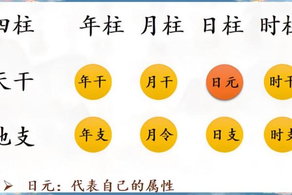 根据出生日期知命运:揭示你生命的密码与奥秘 根据出生日期知命运:揭示你生命的密码与奥秘