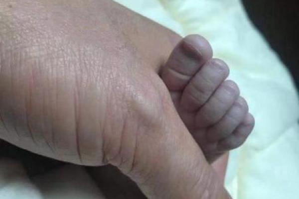 2018年出生的宝宝究竟命运如何？透析其命理奥秘与未来发展机遇