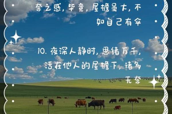 如命似纸,轻如鸿毛:生活中的无奈与坚持 如命似纸,轻如鸿毛:生活中的无奈与坚持