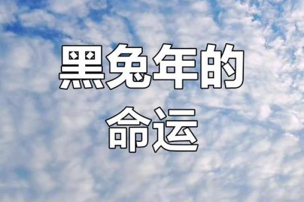 2024年兔年：性格特征与命运解读，助你名利双收！