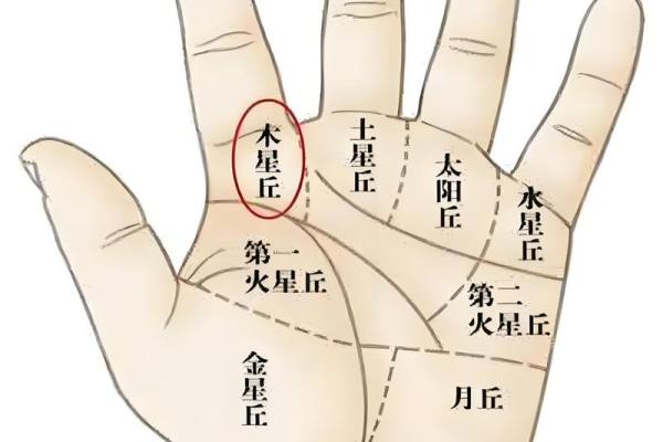 揭秘男人手相：哪些特征预示着命运的成功与幸福