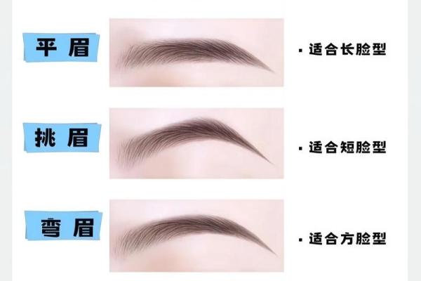 眉毛的美丽与命运:解读眉毛与人生的关系 眉毛的美丽与命运:解读眉毛与人生的关系