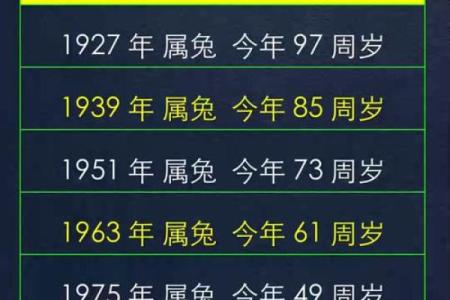 1987属兔女的命运解析：聪慧优雅与丰富人生的完美结合