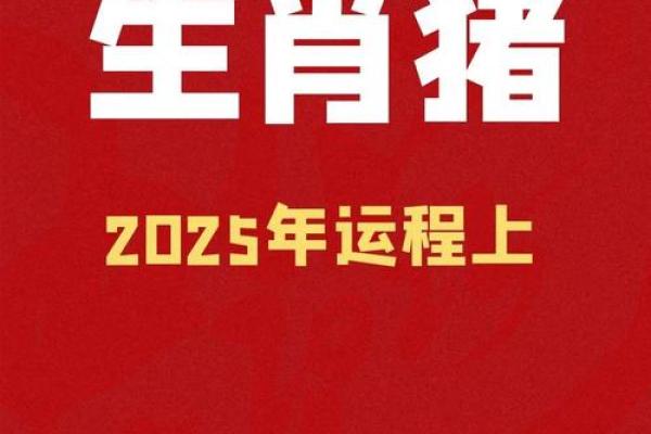 揭开属猪人的命运之谜:2014年的猪年与命理解析 揭开属猪人的命运之谜:2014年的猪年与命理解析