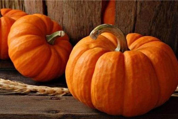 算命南瓜命:揭示你的命运与生活中的奇妙联系 算命南瓜命:揭示你的命运与生活中的奇妙联系